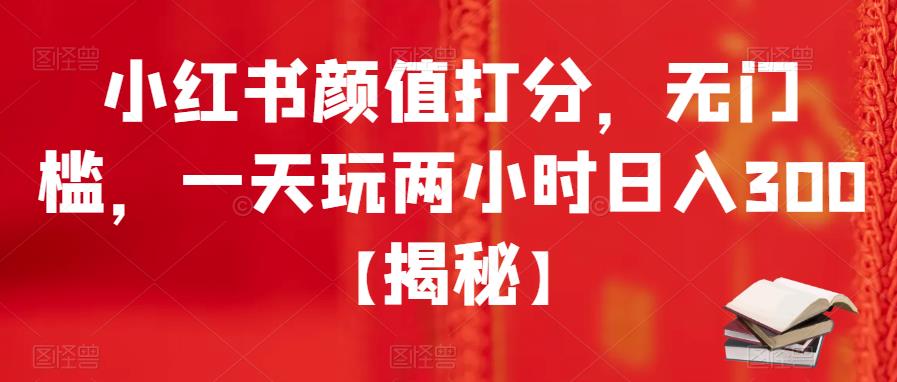 小红书颜值打分，无门槛，一天玩两小时日入300+【揭秘】-林文副业站