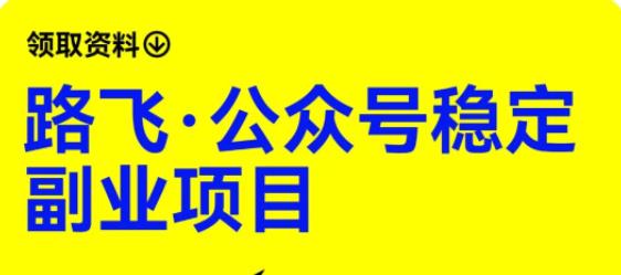 路飞·公众号稳定副业项目，你只要无脑去推广，粉丝和收入，自然就来了-林文副业站