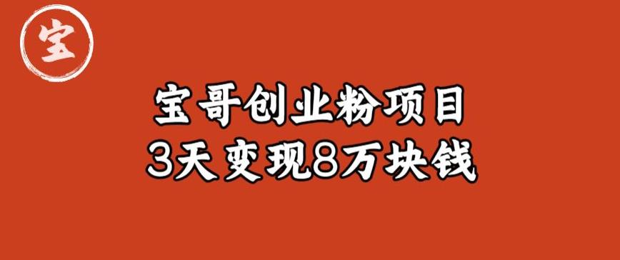 宝哥IP图文创业粉引流项目实战分享：单个账号3天涨粉1万，变现8万块钱（图文教程）【揭秘】-林文副业站