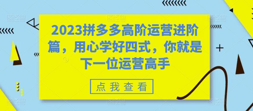 2023拼多多高阶运营进阶篇，用心学好四式，你就是下一位运营高手-林文副业站
