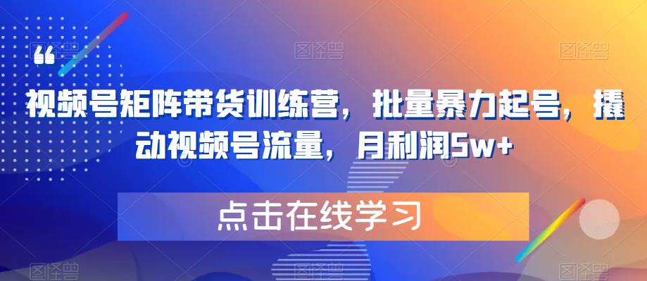 视频号矩阵带货训练营，批量暴力起号，撬动视频号流量，月利润5w+-林文副业站