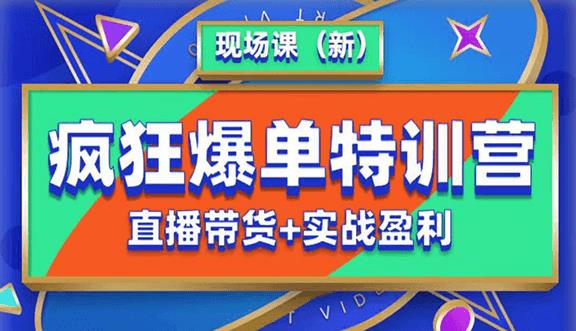 抖音短视频疯狂爆单特训营现场课（新）直播带货+实战案例-林文副业站