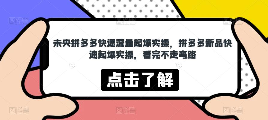 未央拼多多快速流量起爆实操，拼多多新品快速起爆实操，看完不走弯路-林文副业站