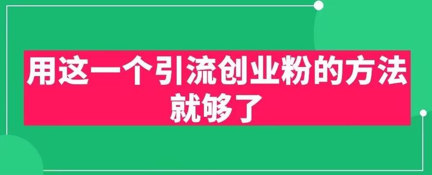用这一个引流创业粉的方法就够了，PPT短视频引流创业粉【揭秘】-林文副业站