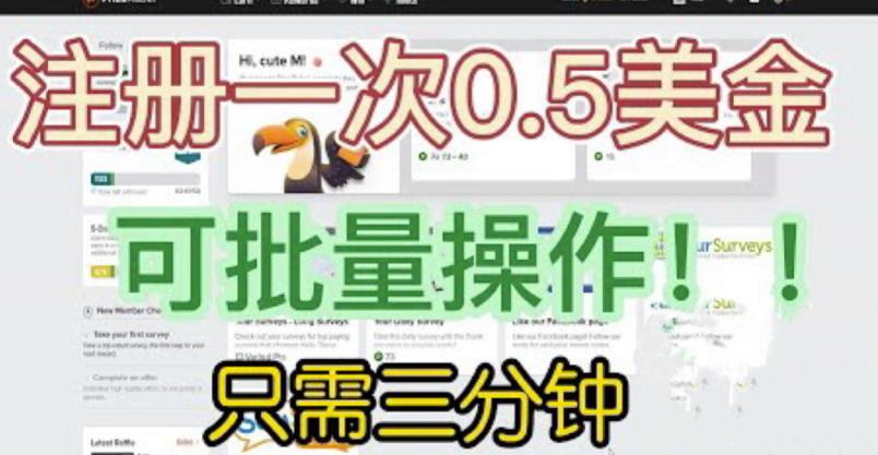 国外项目注册一次0.5美金，只需三分钟无脑操作，可批量同时放大操作，小白工作室福利【揭秘】-林文副业站