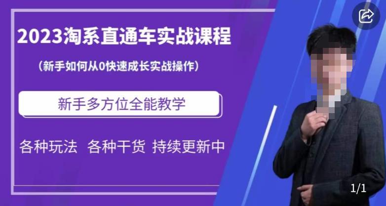 2023淘系直通车保姆式运营讲解，新手如何从0快速成长实战操作，新手多方位全能教学-林文副业站