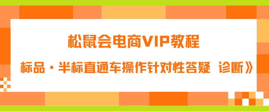 松鼠会电商VIP教程：松鼠《付费推广标品·半标直通车操作针对性答疑&诊断》-林文副业站