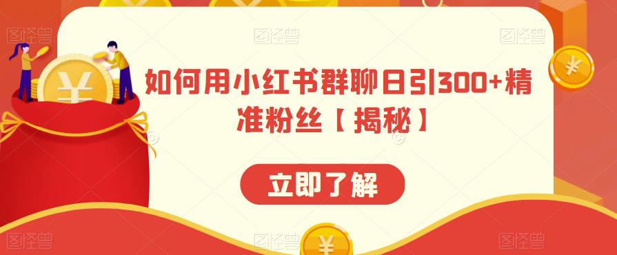 如何用小红书群聊日引300+精准粉丝【揭秘】-林文副业站