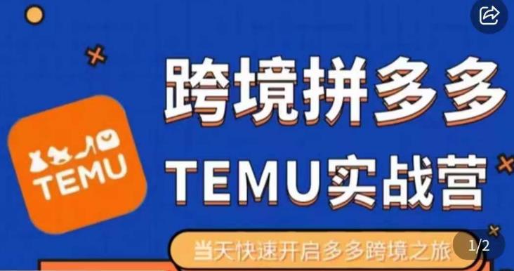 大鹏出海·拼多多跨境temu运营指导，开店注册+选品+核价上架，日出千单实战课-林文副业站