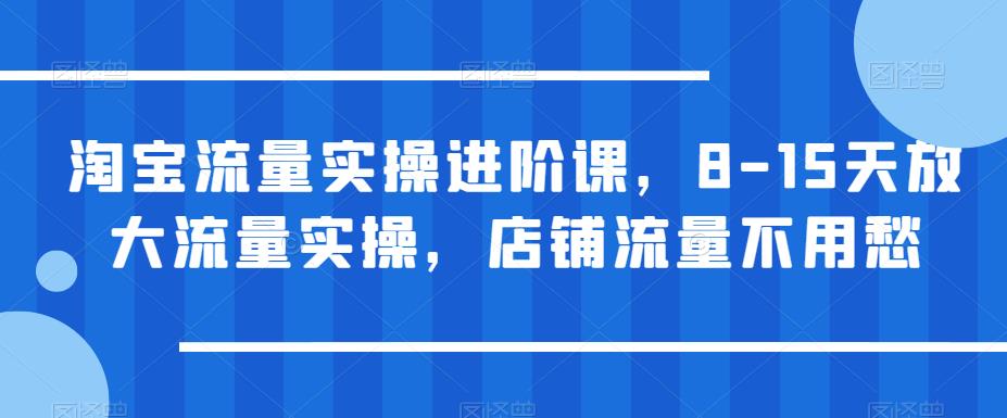 淘宝流量实操进阶课，8-15天放大流量实操，店铺流量不用愁-林文副业站