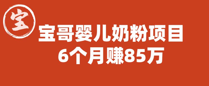 宝哥婴儿奶粉项目，6个月赚85w【图文非视频】【揭秘】-林文副业站