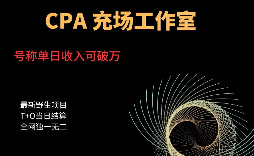 cpa充场工作室，号称单日收入10000+（揭秘）-林文副业站