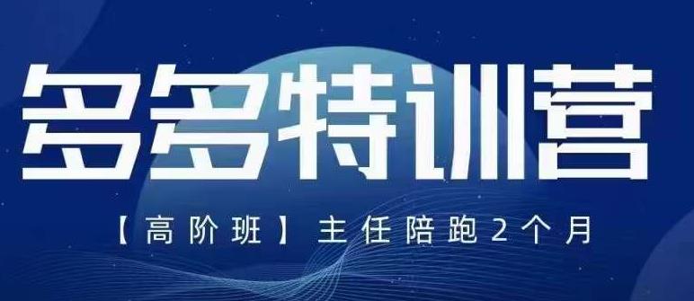 纪主任·5月最新多多特训营高阶班，玩法落地实操，多多全掌握-林文副业站