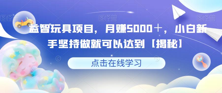 益智玩具项目，月赚5000＋，小白新手坚持做就可以达到【揭秘】-林文副业站