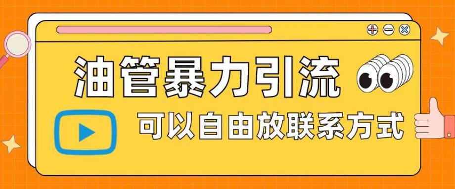 油管暴力引流，可以自由放联系方式【揭秘】-林文副业站