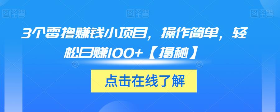 3个零撸赚钱小项目，操作简单，轻松日赚100+【揭秘】-林文副业站