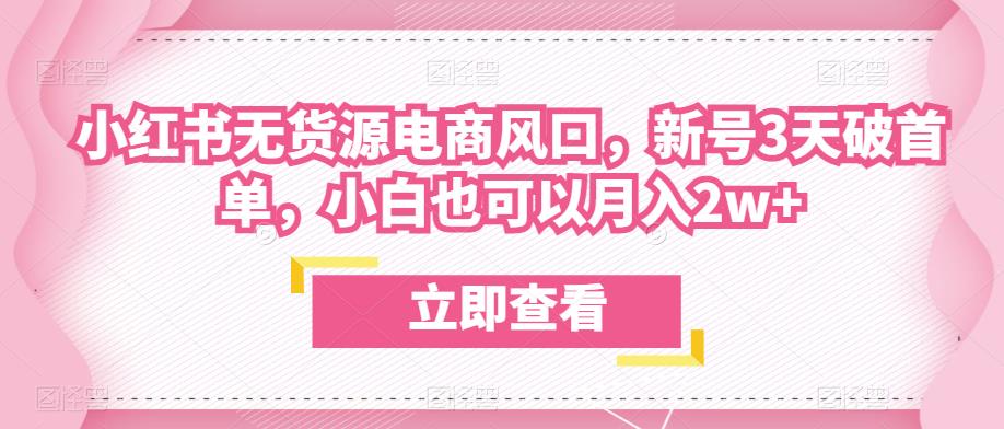 众狼电商余文小红书无货源电商风口，新号3天破首单，小白也可以月入2w+-林文副业站
