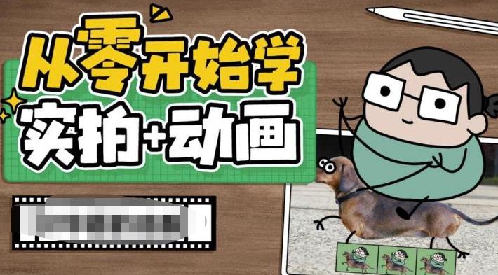 从零开始学实拍加动画，实拍加动画创意教程-林文副业站