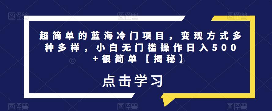 超简单的蓝海冷门项目，变现方式多种多样，小白无门槛操作日入500+很简单【揭秘】-林文副业站