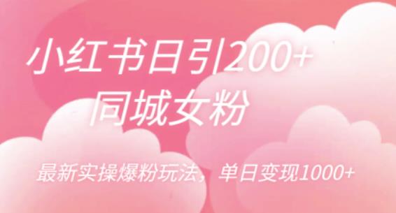 小红书日引200+同城女粉，最新实操爆粉玩法，单日变现1000+【揭秘】-林文副业站