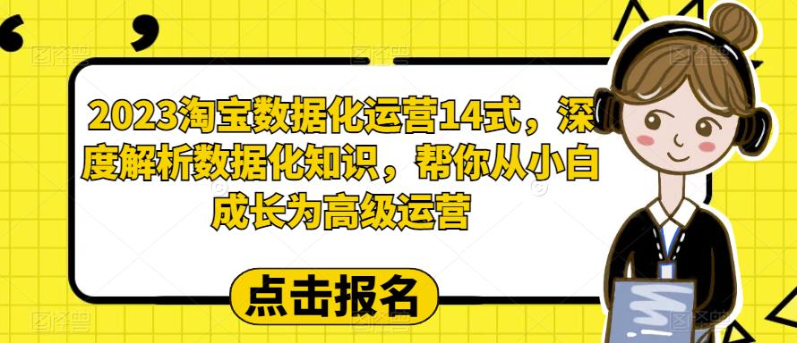 2023淘宝数据化运营14式，深度解析数据化知识，帮你从小白成长为高级运营-林文副业站