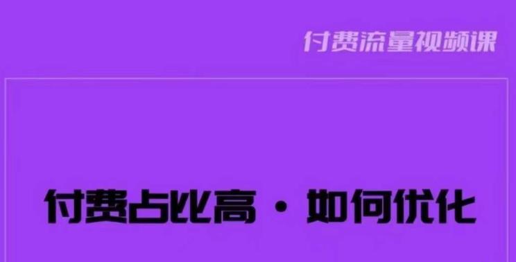 波波-付费占比高，如何优化？只讲方法，不说废话，高效解决问题！-林文副业站