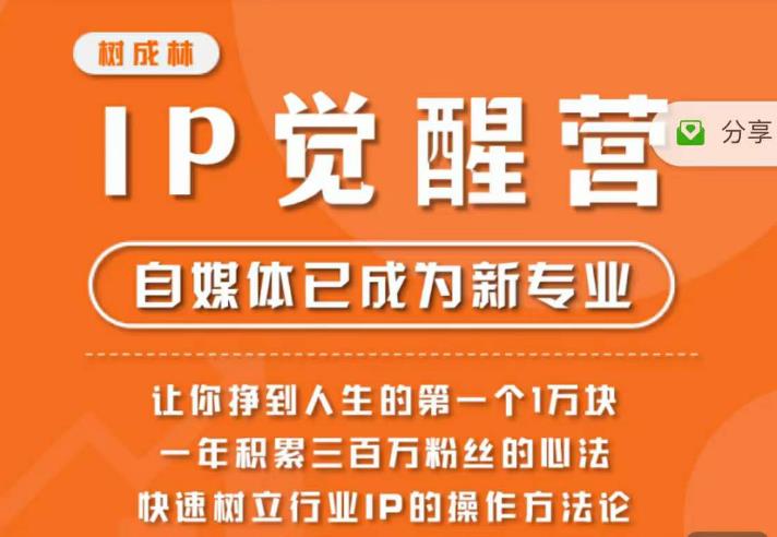 树成林·IP觉醒营，快速树立行业IP的操作方法论，让你赚到人生的第一个1万块-林文副业站