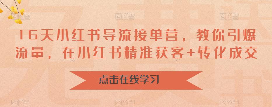 16天小红书导流接单营，教你引爆流量，在小红书精准获客+转化成交-林文副业站
