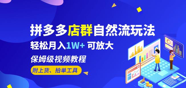 拼多多店群自然流玩法，轻松月入1W+保姆级视频教程（附上货、拍单工具）-林文副业站