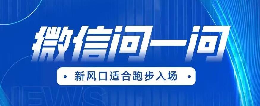 全网首发微信问一问新风口变现项目（价值1999元）【揭秘】-林文副业站