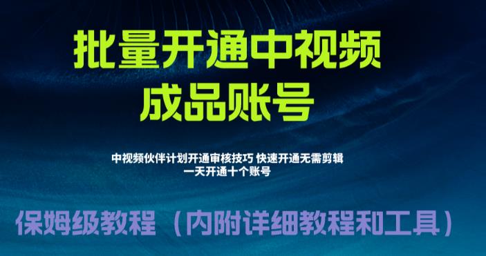 外面收费1980的暴力开通中视频计划教程，内附详细的快速通过中视频伙伴计划的办法-林文副业站