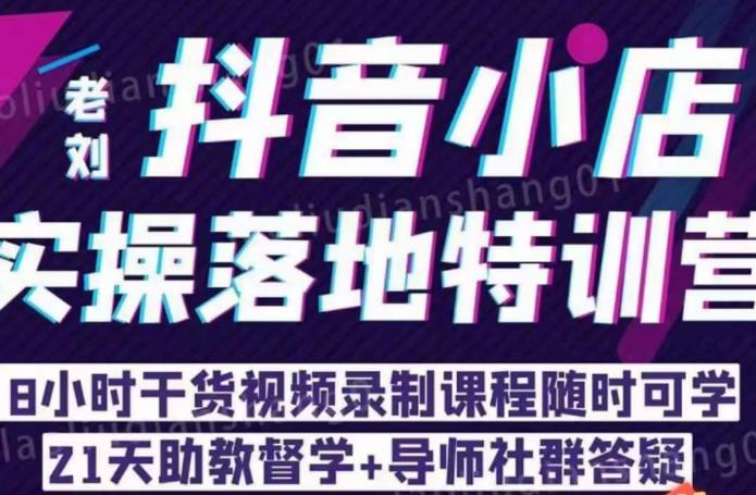 老刘·抖店商品卡流量，​抖音小店实操落地特训营，8小时干货视频录制课程随时可学-林文副业站