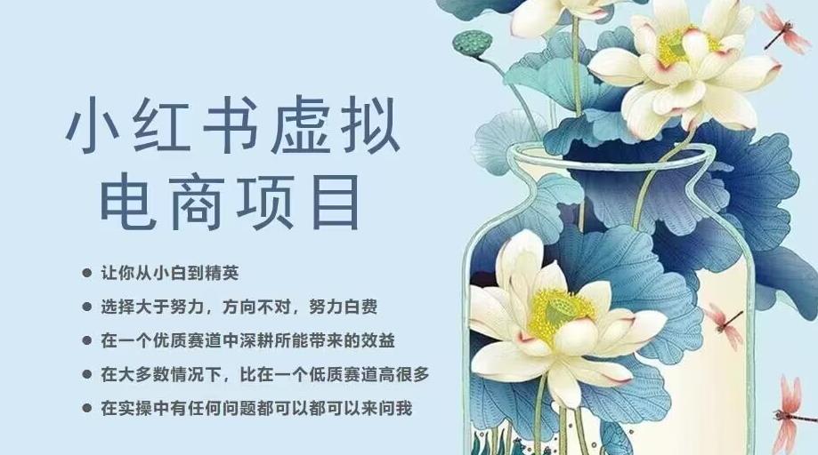 小红书虚拟电商从0到1，让你从小白到精英（20节实操课程）-林文副业站