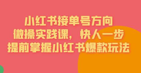 接单号方向·小红书微操实践课，快人一步，提前掌握小红书爆款玩法-林文副业站