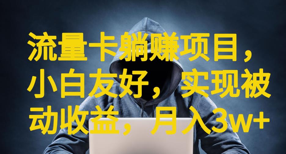 流量卡躺赚项目，小白友好，开设后台，实现被动收益，只要出卡，就能一直赚钱，利润高昂【揭秘】-林文副业站