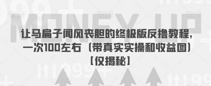 让马扁子闻风丧胆的终极版反撸教程，一次100左右（带真实实操和收益图）【仅揭秘】-林文副业站