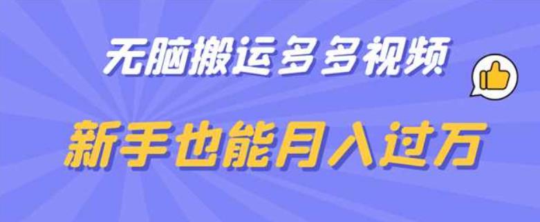 无脑搬运多多视频，新手也能月入过万【揭秘】-林文副业站