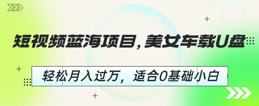 短视频蓝海项目，美女车载U盘，轻松月入过万，适合0基础小白【揭秘】-林文副业站