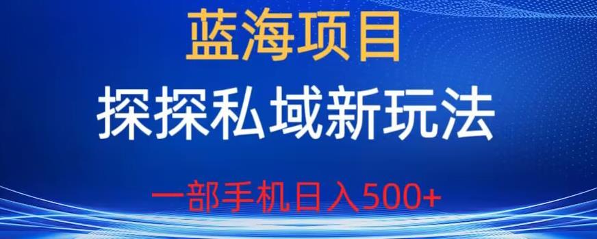 蓝海项目，探探私域新玩法，一部手机日入500+很轻松【揭秘】-林文副业站