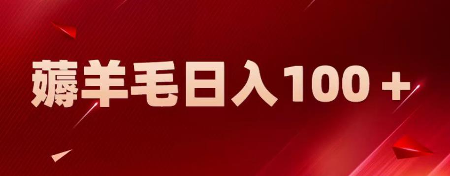 新平台零撸薅羊毛，一天躺赚100＋，无脑复制粘贴【揭秘】-林文副业站