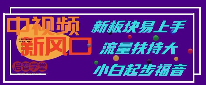 中视频新风口，新板块易上手，流量扶持大，小白起步福音【揭秘】-林文副业站