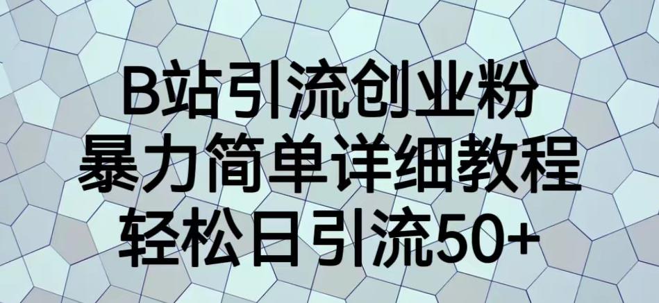 B站引流创业粉，暴力简单详细教程，轻松日引流50+【揭秘】-林文副业站