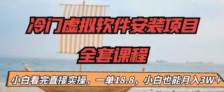冷门虚拟软件安装项目，一单18.8，小白也能月入3W＋【揭秘】-林文副业站