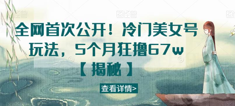 全网首次公开！冷门美女号玩法，5个月狂撸67w【揭秘】-林文副业站