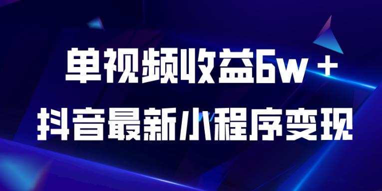 抖音最新小程序变现项目，单视频收益6w＋，小白可做【揭秘】-林文副业站