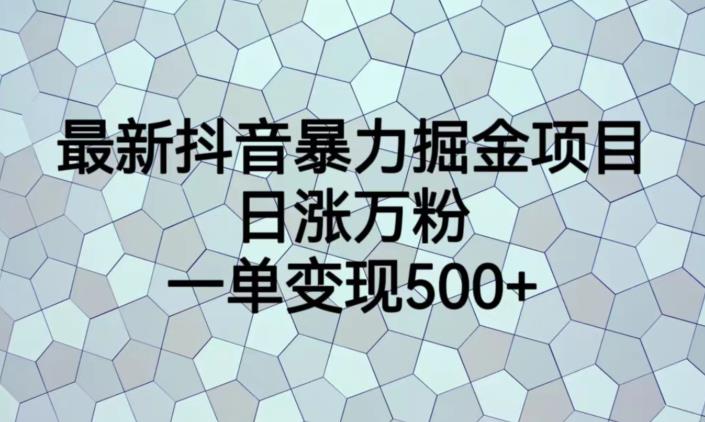 最新抖音暴力掘金项目，日涨万粉，一单变现500+【揭秘】-林文副业站