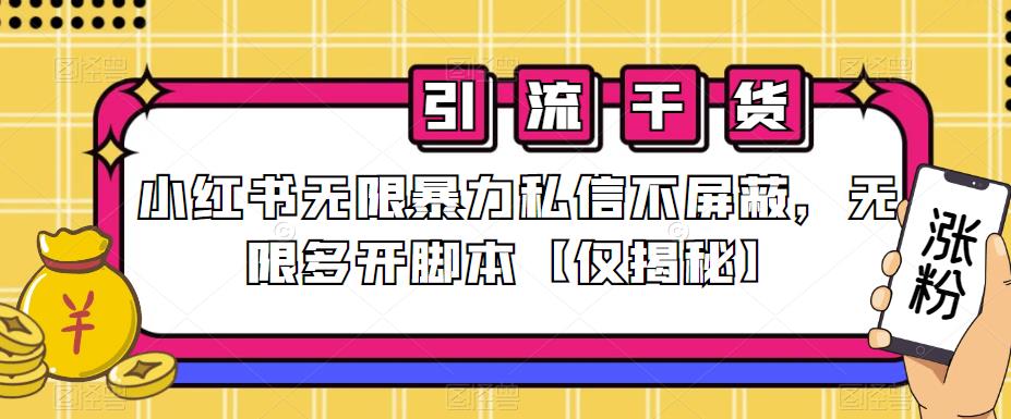 小红书无限暴力私信不屏蔽，无限多开脚本【仅揭秘】-林文副业站