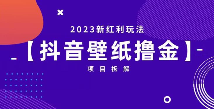 抖音壁纸小程序创作者撸金项目，2023新红利玩法【项目拆解】-林文副业站