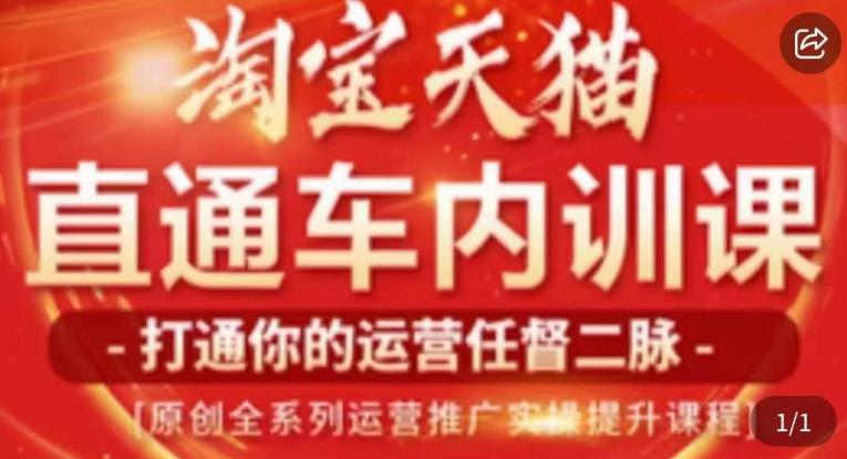 天问电商·2023淘宝天猫直通车内训课，零基础学起直通车运营实操课程-林文副业站