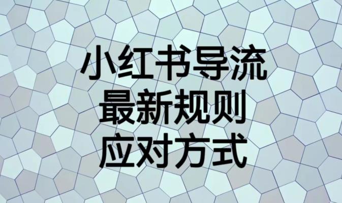 小红书导流最新规则应对方式【揭秘】-林文副业站